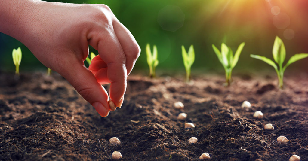 PLANTING SEEDS ON GOOD SOIL