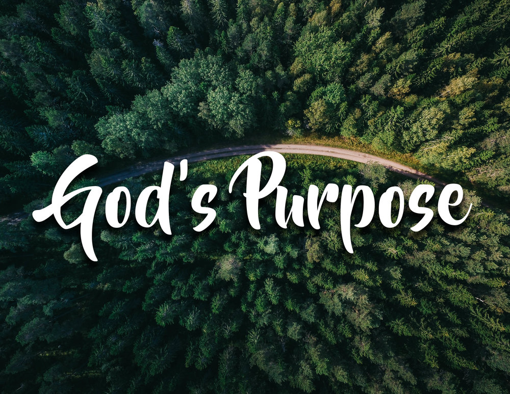 ALIGNING YOUR DECISIONS WITH GOD’S PURPOSE